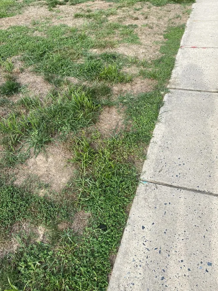 Trusted landscape design in Abingdon, MD - Residential Lawn Company