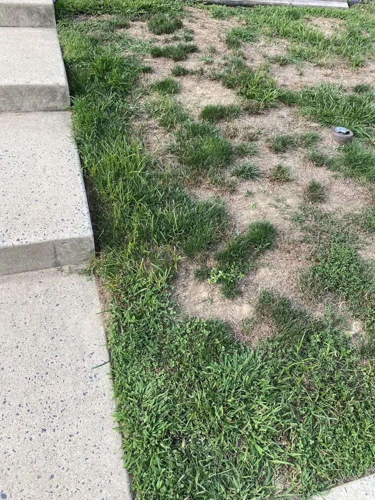 Affordable yard maintenance in Abingdon, MD - Residential Lawn Company