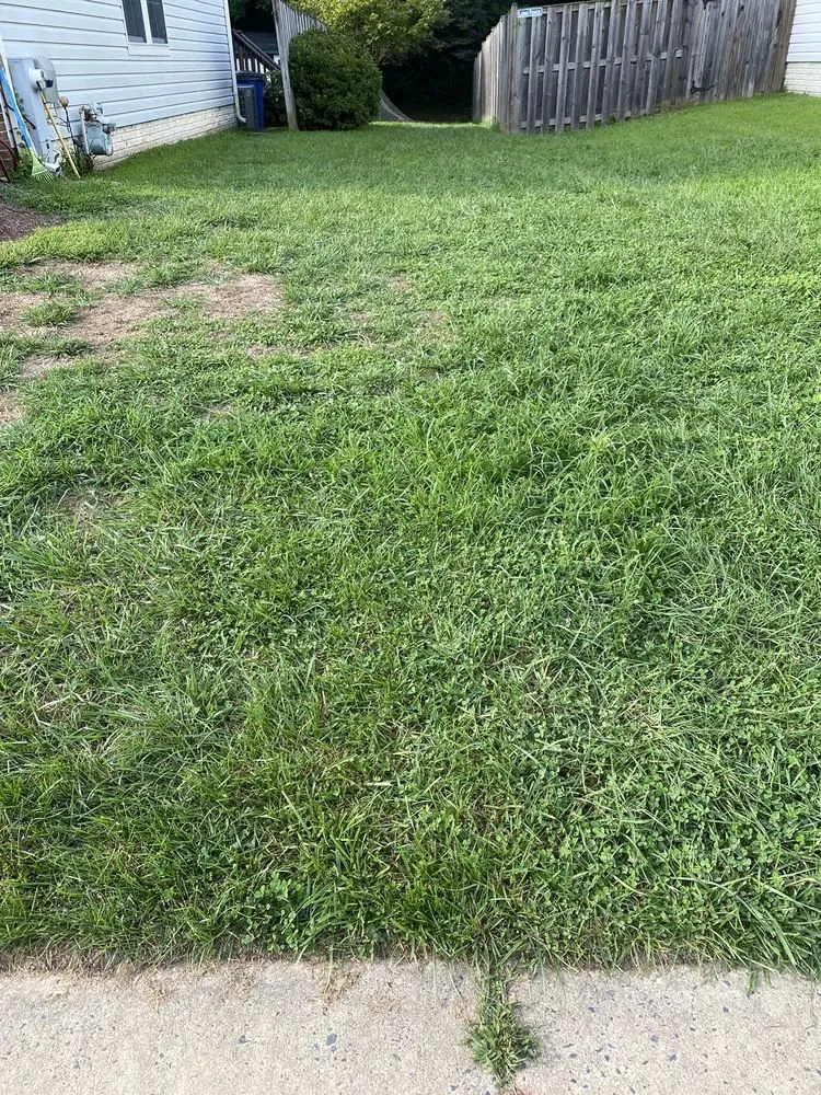 Reliable yard cleanup service for residential properties across Abingdon, MD - Residential Lawn Company