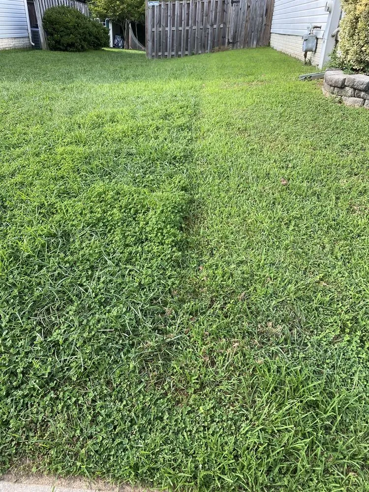 Reliable yard cleanup service for beautiful yards in Abingdon, MD by Residential Lawn Company