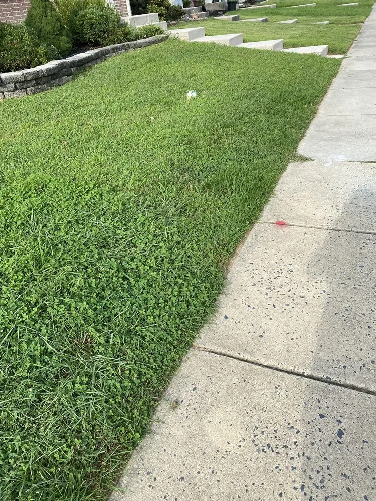 Affordable landscape installation in Abingdon, MD - Residential Lawn Company