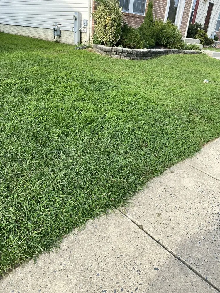 Trusted landscape design in Abingdon, MD by Residential Lawn Company