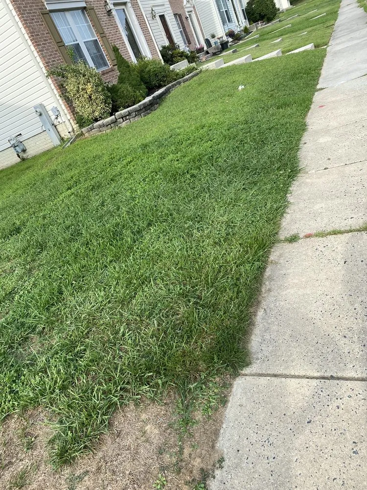 Top-rated lawn mowing service with custom design in Abingdon, MD by Residential Lawn Company