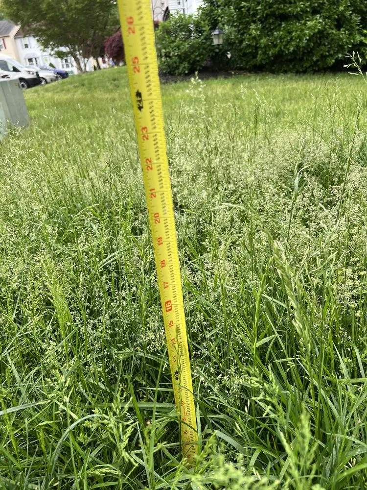 Local landscape design in Abingdon, MD by Residential Lawn Company