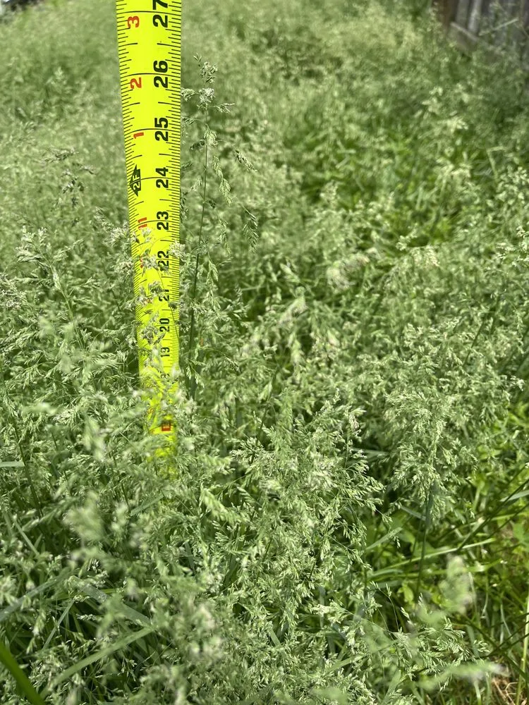 Expert landscape installation for outdoor upgrades across Abingdon, MD - Residential Lawn Company