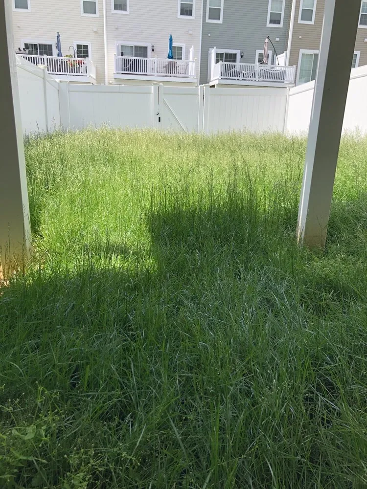 Trusted lawn mowing service experts serving Abingdon, MD - Residential Lawn Company