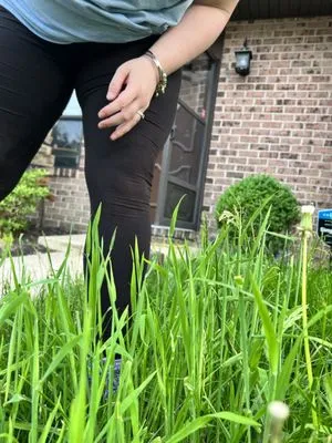 Residential Lawn Company