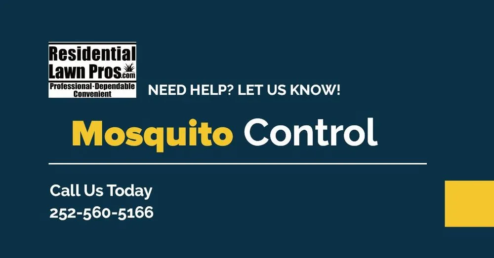 Expert landscaping services with custom design in Kinston, NC by Residential Lawn Pros