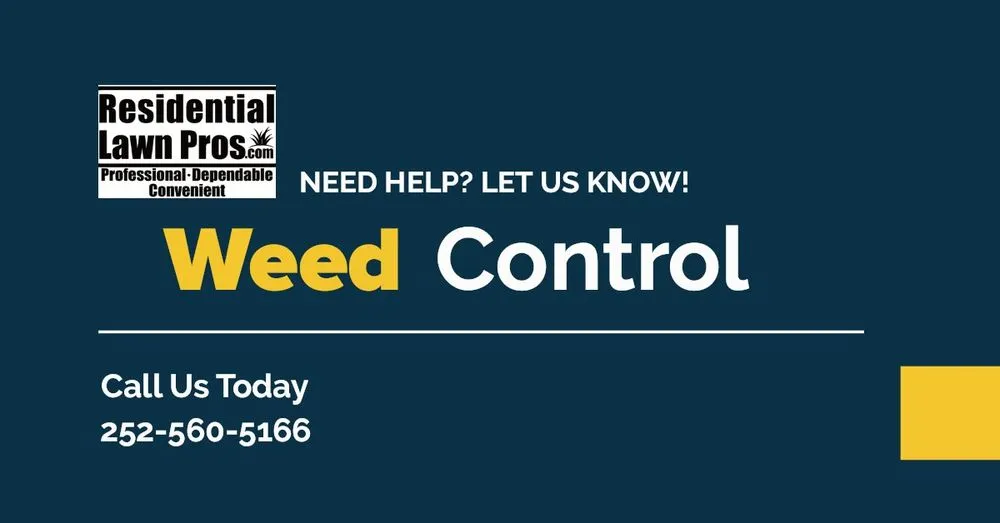 Expert lawn mowing service for year-round maintenance across Kinston, NC - Residential Lawn Pros