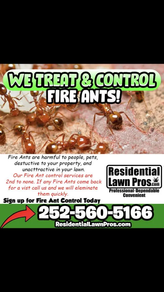 Reliable garden landscaping in Kinston, NC by Residential Lawn Pros