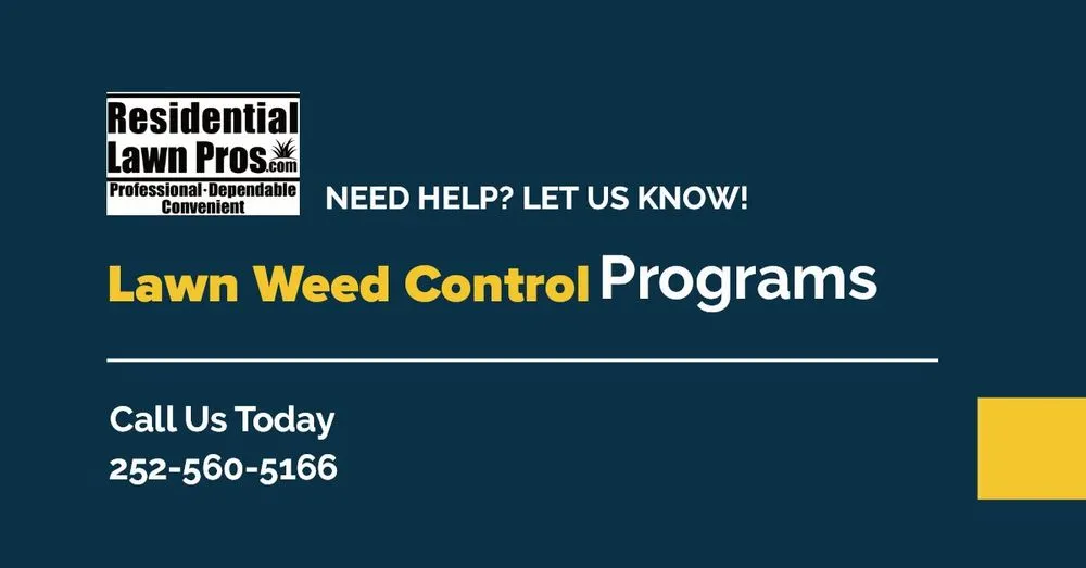 Affordable lawn care service with custom design in Kinston, NC by Residential Lawn Pros