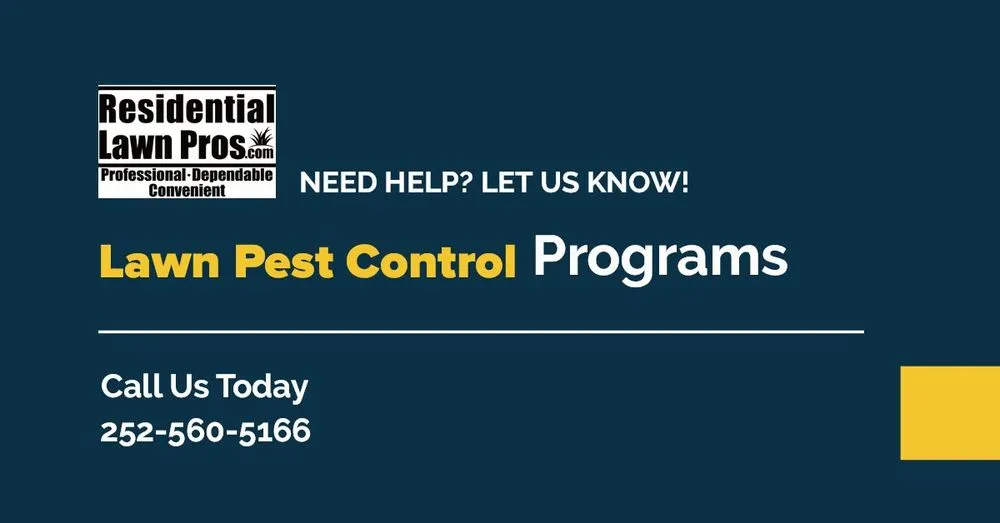 Affordable landscape installation for residential properties in Kinston, NC by Residential Lawn Pros