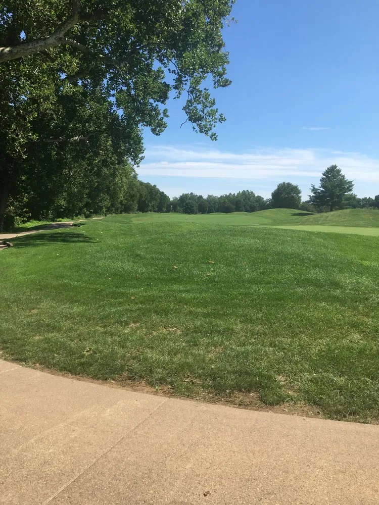 Custom yard cleanup service for homes across Leesburg, VA - Residential Mowing And Trimming