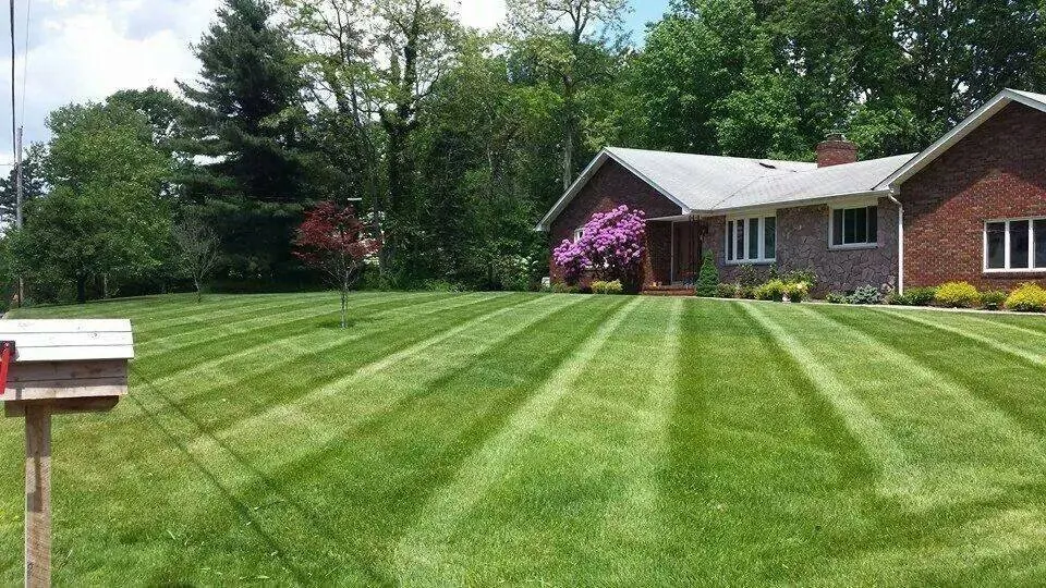 Professional landscape installation with custom design in Fridley, MN by Residential Property Care, LLC