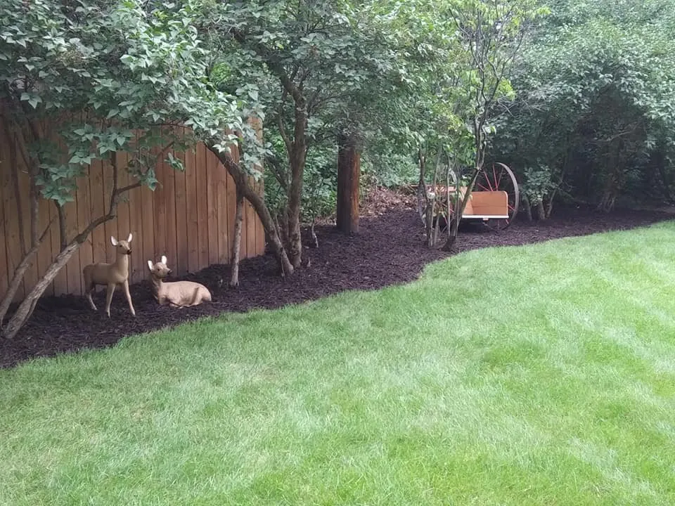 Professional landscape installation in Fridley, MN - Residential Property Care, LLC
