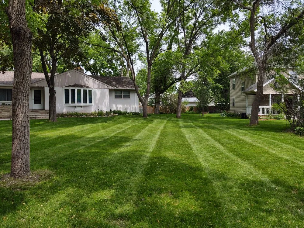 Professional yard cleanup service experts serving Fridley, MN - Residential Property Care, LLC