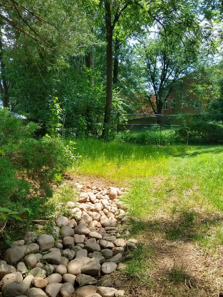 Local landscape design in Brunswick, MD - Residential Reforestation