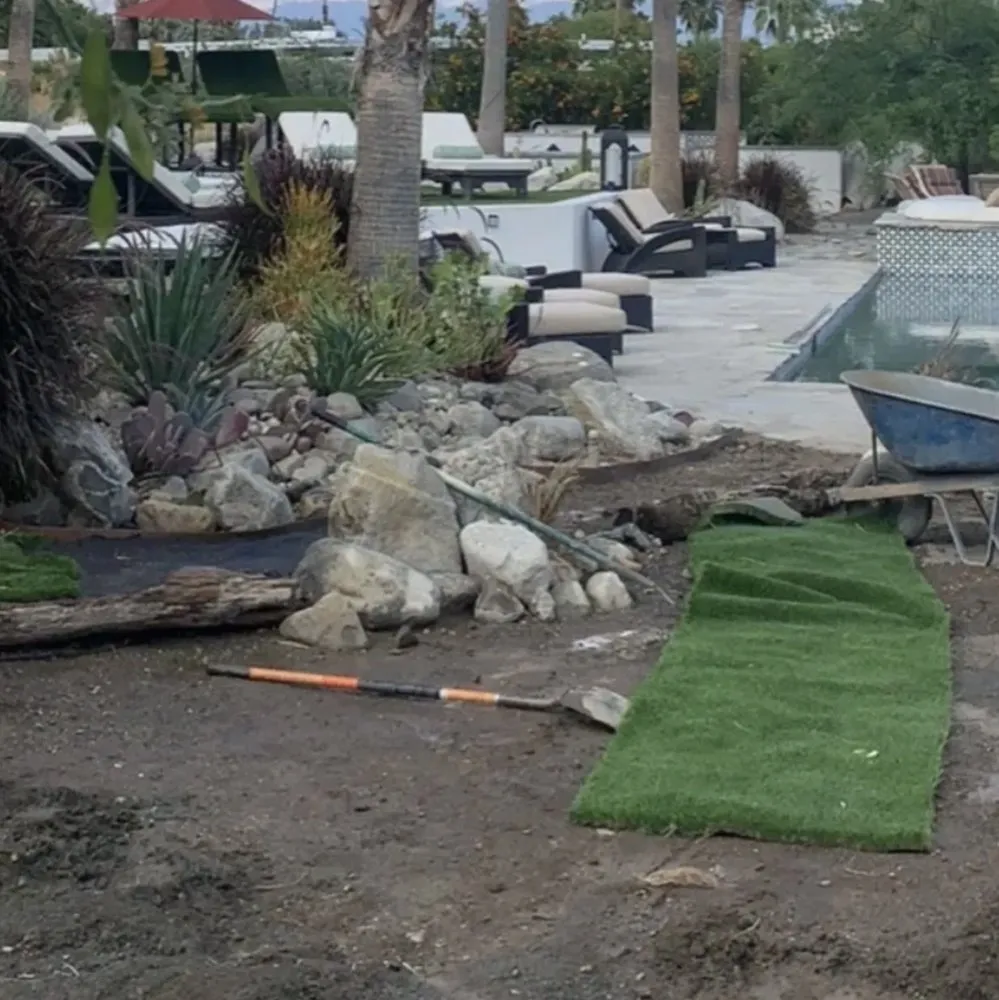 Expert yard cleanup service for year-round maintenance across Palm Springs, CA - Residential Restoration Specialties