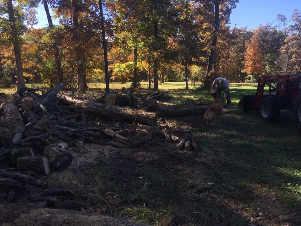 Reliable yard maintenance in Neosho, MO by Residential Revival Services