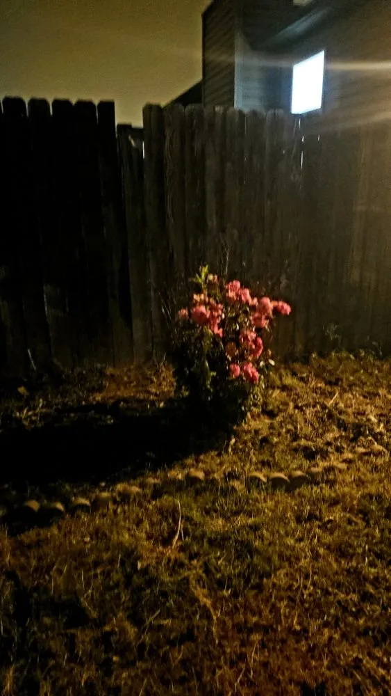 Professional yard maintenance for year-round maintenance across Cheyenne, WY - Residential Roustabouts