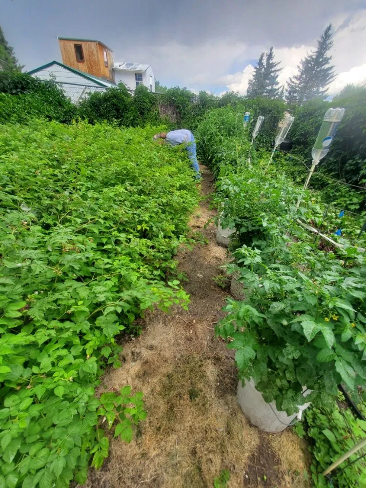 Top-rated landscape design in Cheyenne, WY by Residential Roustabouts