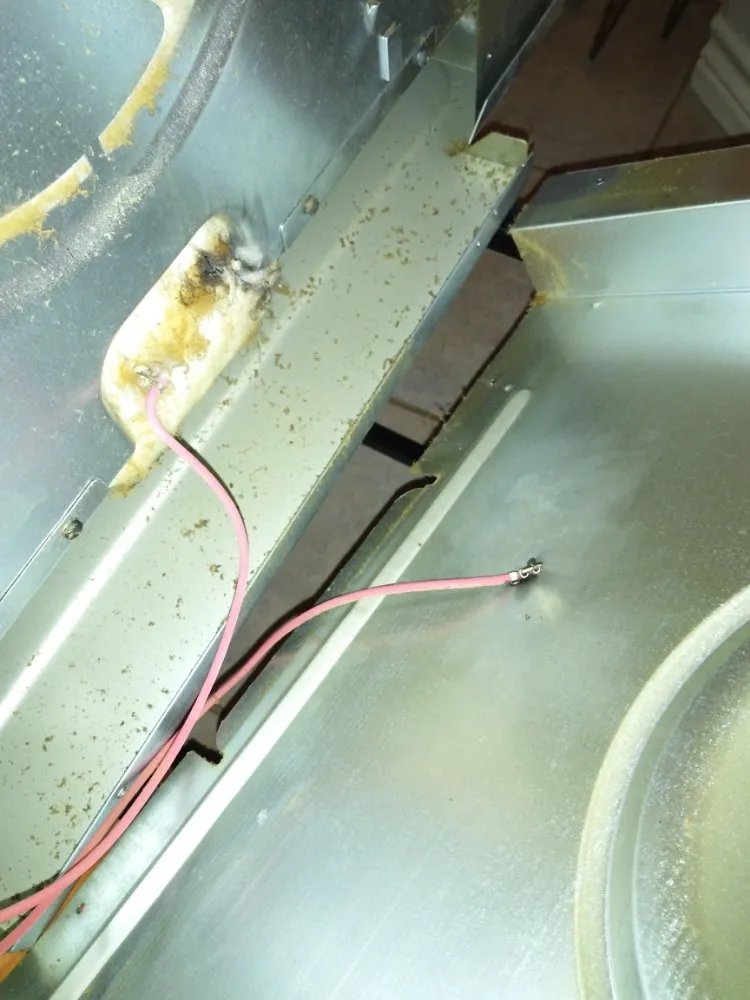 Local lawn care service for residential properties in College Station, TX by Residential Service Connection