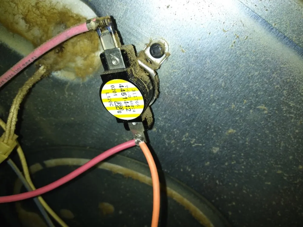 Professional yard maintenance in College Station, TX by Residential Service Connection