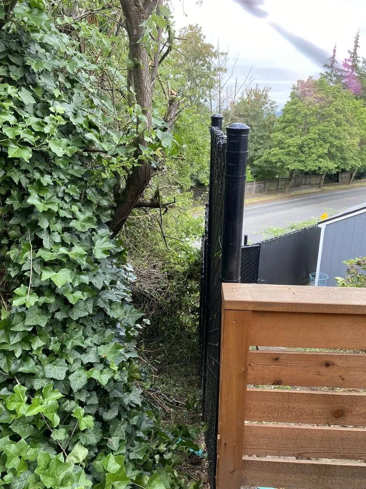 Professional landscape design for beautiful yards across Mercer Island, WA - Residential Solutions