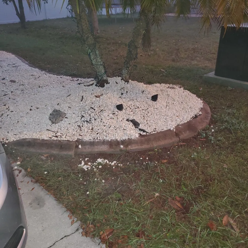 Top-rated yard cleanup service in Ruskin, FL by Residential Solutions