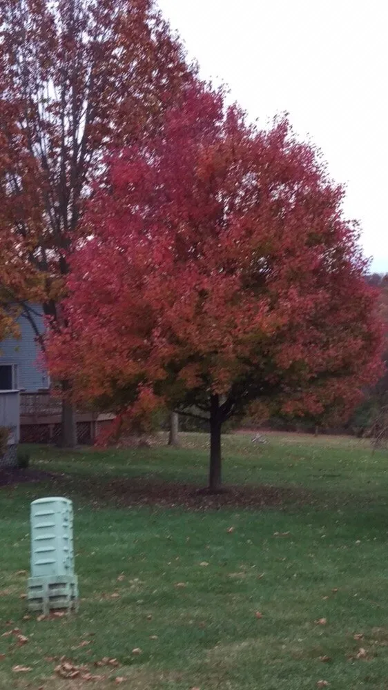 Local residential landscaping in Downingtown, PA by Residential Specialty Landscapes