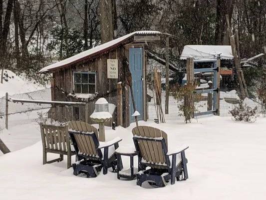 Residential Specialty Landscapes