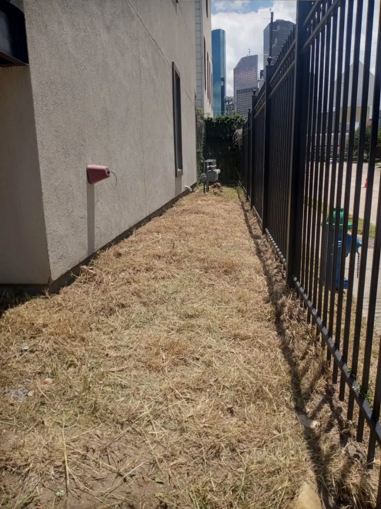 Top-rated yard maintenance in Houston, TX - Residents Landscaping and Design