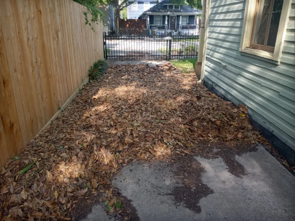 Local lawn care service in Houston, TX - Residents Landscaping and Design