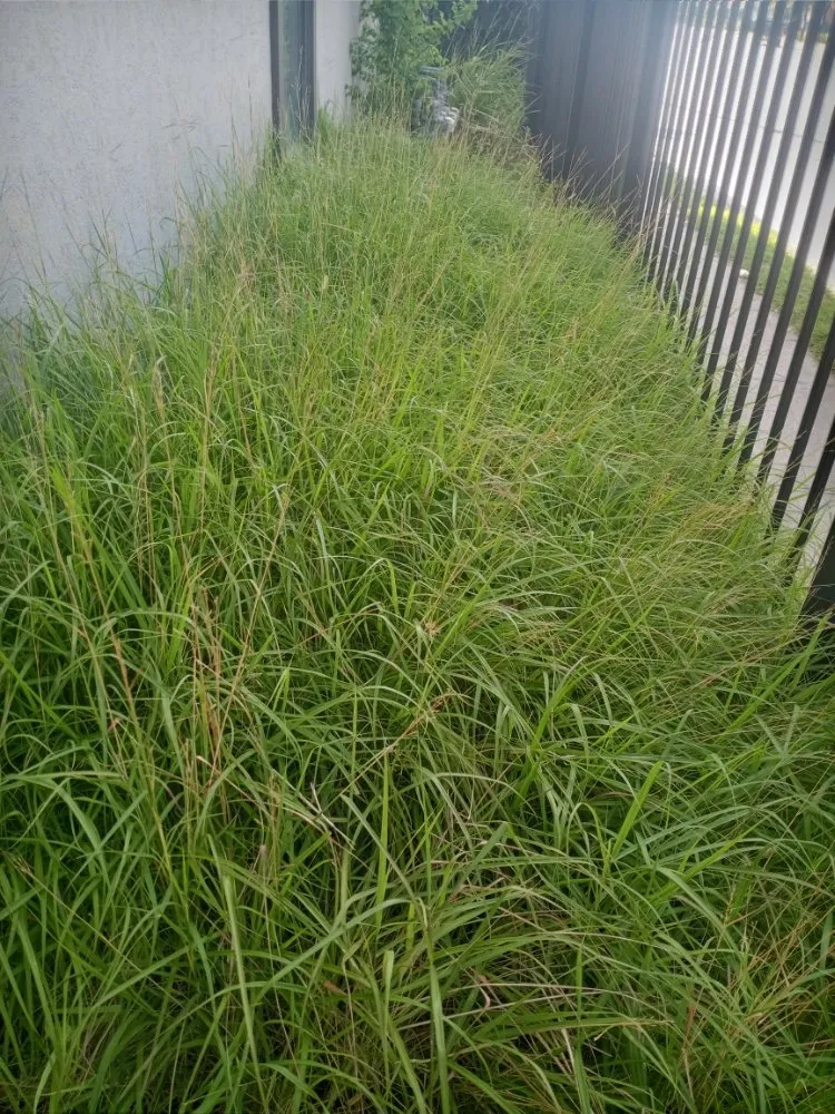 Affordable residential landscaping experts serving Houston, TX - Residents Landscaping and Design