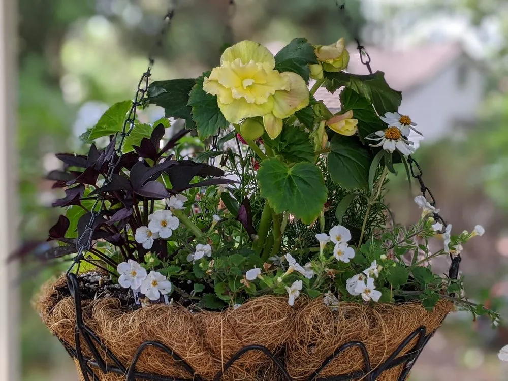 Affordable residential landscaping with custom design in Cassville, NY by Resilience Gardening
