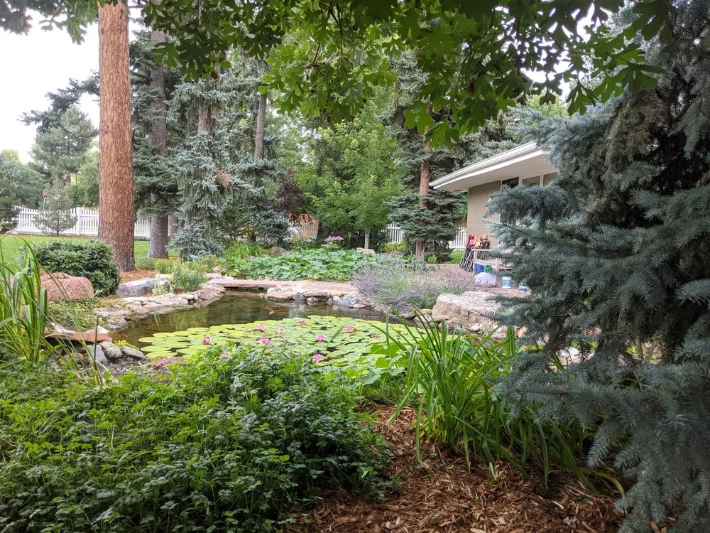 Affordable residential landscaping near you in Cassville, NY by Resilience Gardening
