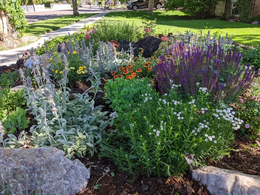 Local yard maintenance experts serving Cassville, NY - Resilience Gardening
