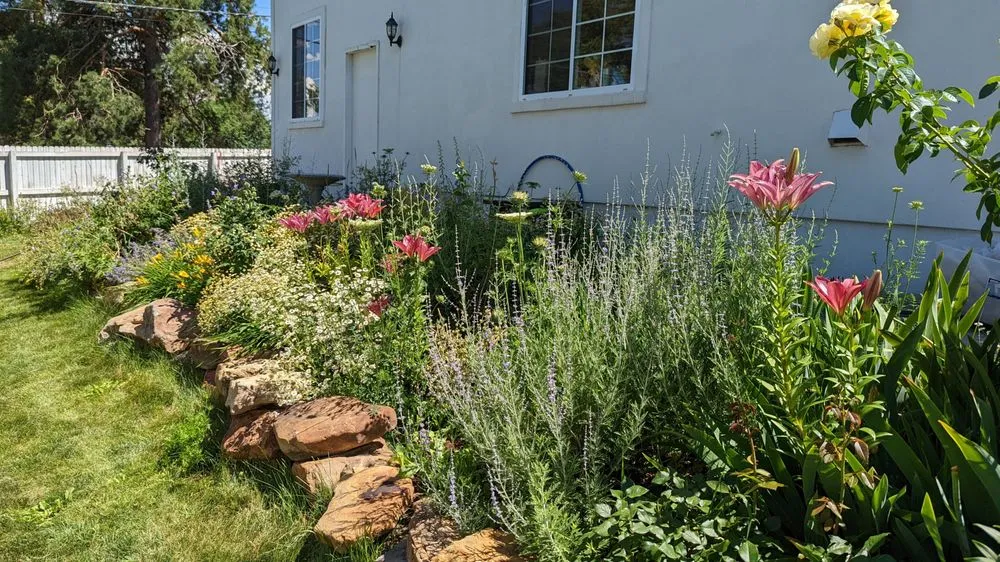 Expert yard maintenance in Cassville, NY - Resilience Gardening