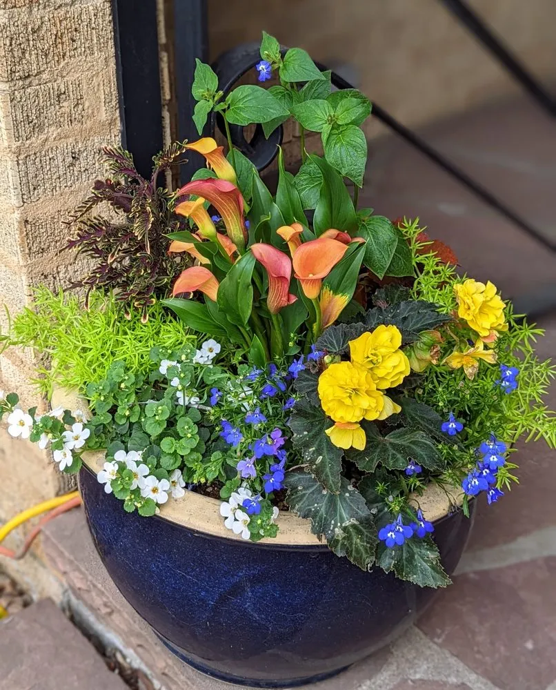 Trusted lawn mowing service for residential properties across Cassville, NY - Resilience Gardening