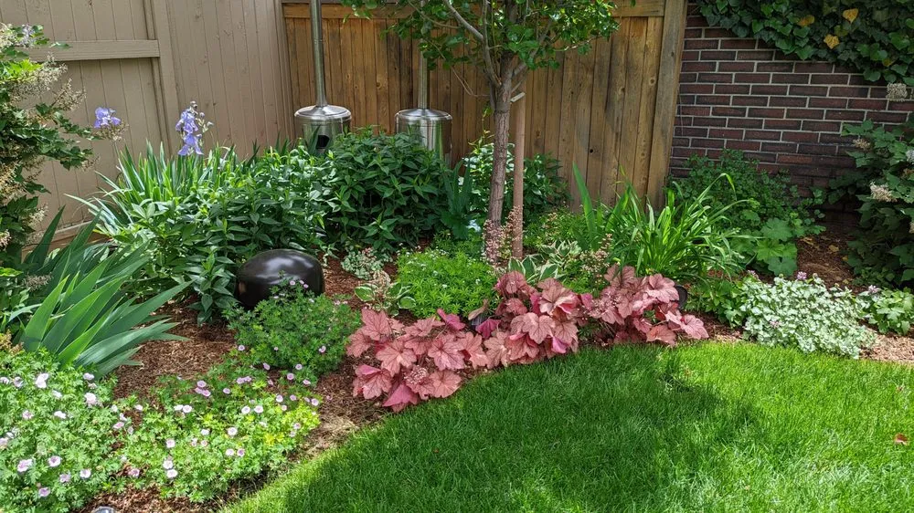 Professional landscaping services in Cassville, NY by Resilience Gardening