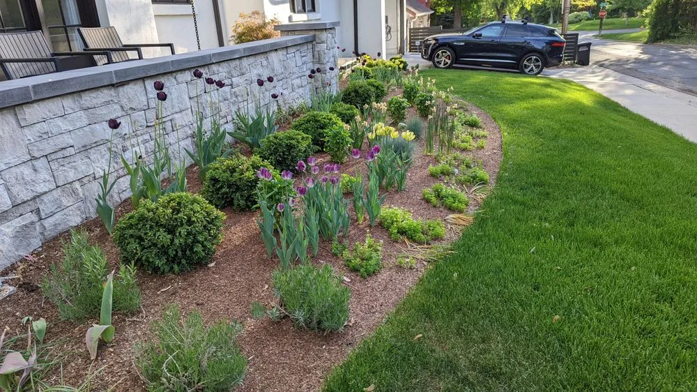 Custom lawn care service for year-round maintenance in Cassville, NY by Resilience Gardening