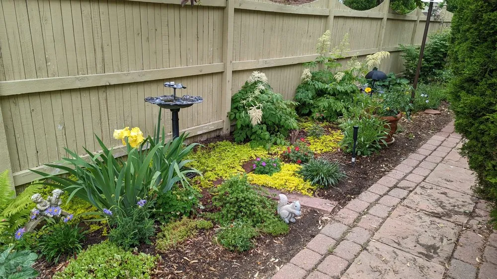 Professional lawn mowing service in Cassville, NY by Resilience Gardening