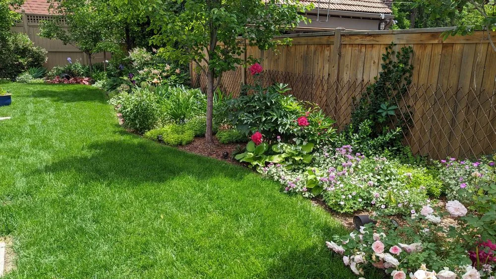 Custom landscape design near you in Cassville, NY by Resilience Gardening