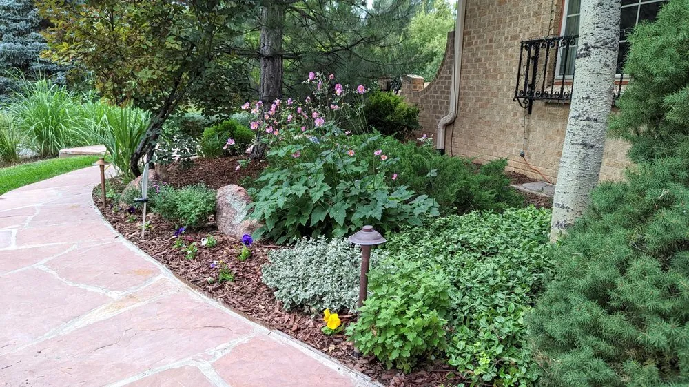 Custom lawn care service for outdoor upgrades in Cassville, NY by Resilience Gardening