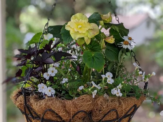 Resilience Gardening