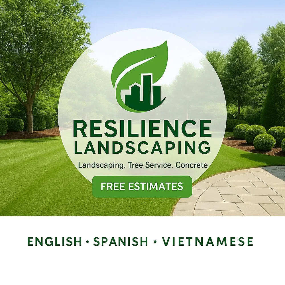 Top-rated lawn care service for beautiful yards across Annandale, VA - Resilience Landscaping