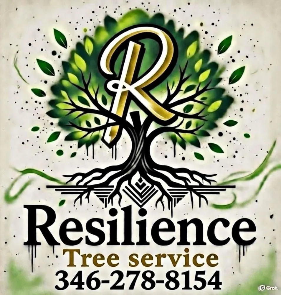 Local landscape design for residential properties in Santa Fe, TX by Resilience Tree Service