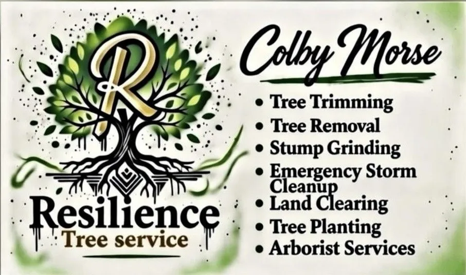 Reliable landscape installation experts serving Santa Fe, TX - Resilience Tree Service