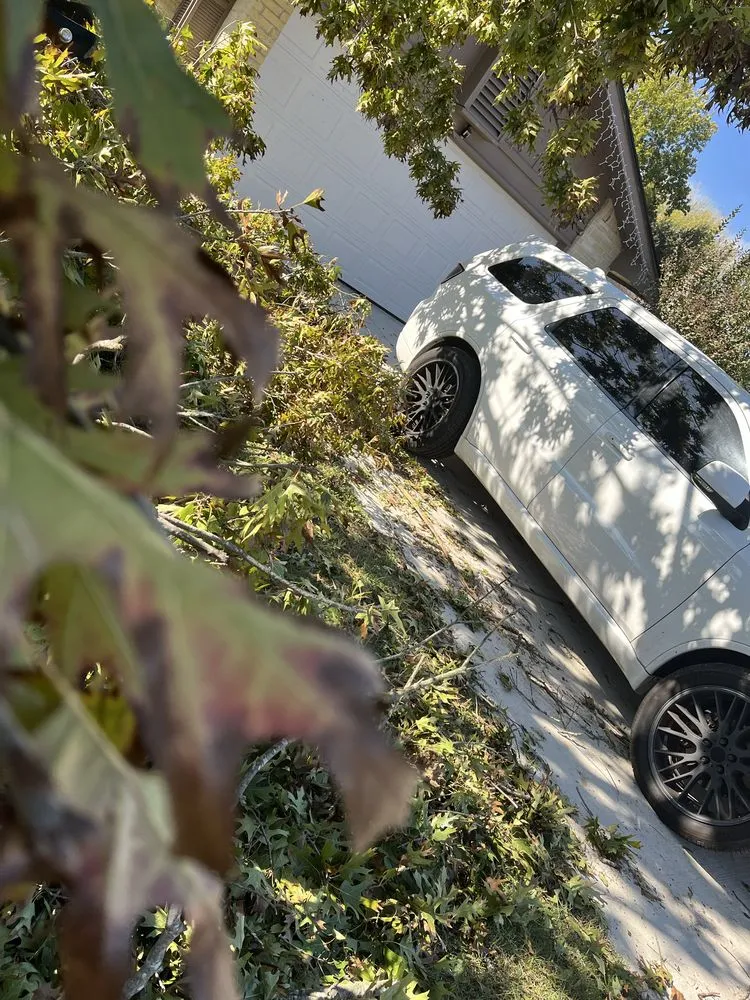 Affordable yard maintenance for beautiful yards in Santa Fe, TX by Resilience Tree Service