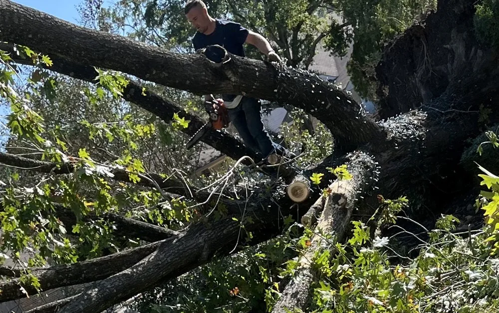 Affordable lawn mowing service for outdoor upgrades in Santa Fe, TX by Resilience Tree Service